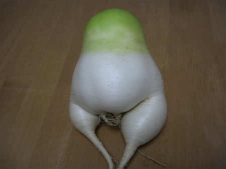null null