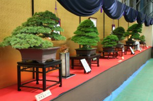 展示会場の様子