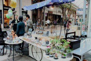 盆栽カフェ小町庵の展示