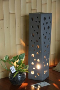 灯りと植物のコラボ