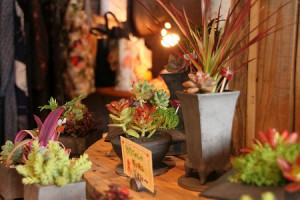 多肉植物と瓦のコラボ